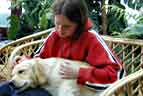 Au Pairs and Dog Carers Looking after Dogs. Quiet Moment