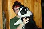 Au Pairs and Dog Carers Dog Carers. Border Collie and Pernilla