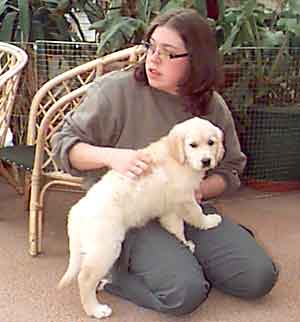 Dog Carer Au Pairs Golden Retriever Puppy with Camilla