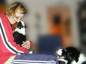 Dog Carer Au Pairs Border Collie Cider and puppy with Marie