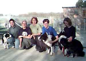 Dog Carer Au Pairs Border Collies ready for Crufts