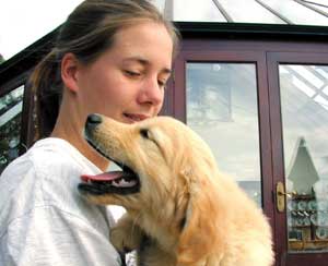 Golden Retriever - Dusty with Anna