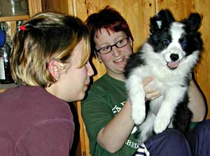 Border Collie puppy having fun with Marie and Pernilla