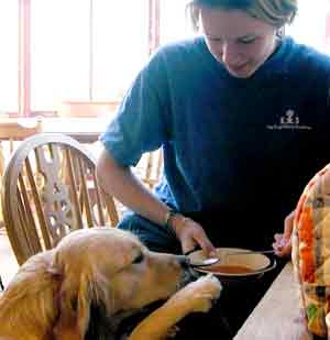 Golden Retriever Isis being fed by Marie