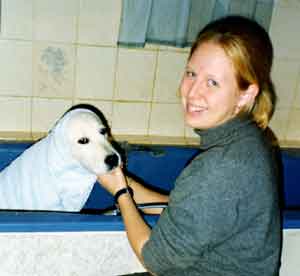 Dog Carer Au Pairs Golden Retriever Timothy being bathed by Jenny