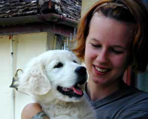 golden Retriever puppy  - Jet with Marie