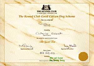 DOG TRAINING ALTON DOG CLUBS HAMPSHIRE DOG TRAINING CLASSES ALRESFORD DOG TRAINING CLUB SURREY THE KENNEL CLUB GOOD CITIZENS DOG SCHEME KCGCDS KCGCDT PUPPY SOCIALISATION CLASSES PUPPY CLASSES DOG CLAS...
