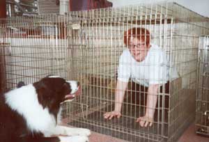 Border Collie and Golden Retriever Advice how to use a dog crate, cage or indoor kennel