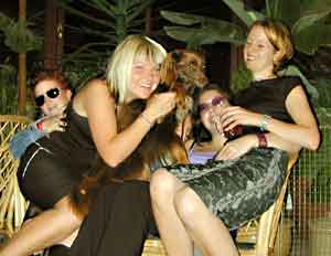 Dog Carer Au Pairs Pernilla, Johanna, Rebekah, Camilla and Marie ready for a night out