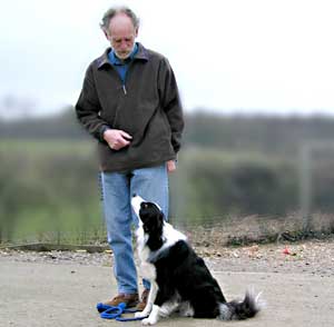 Border Collie Remy, a Cider Daughter and Senior Agility dog
