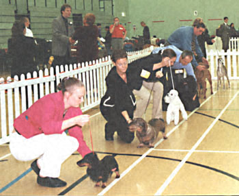 ukdha2001003line