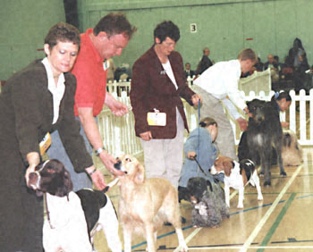 ukdha2001008line