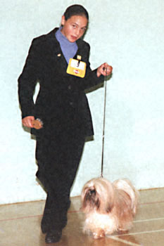 ukdha2001009shitzu