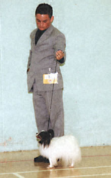 ukdha2001011pap