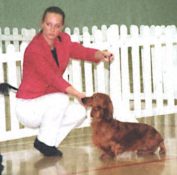 ukdha2001012dachs