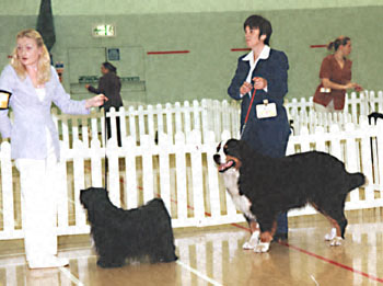 ukdha2001015bmd