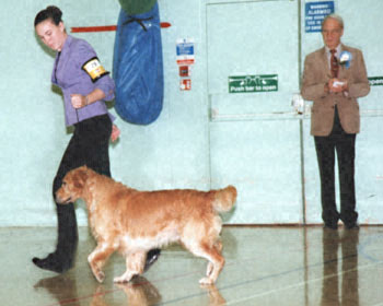 ukdha2001018gold
