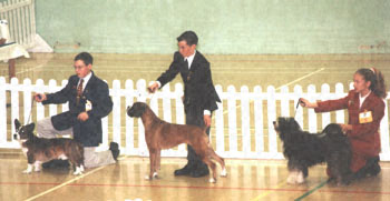 ukdha2001021line