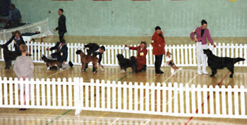 ukdha2001022line