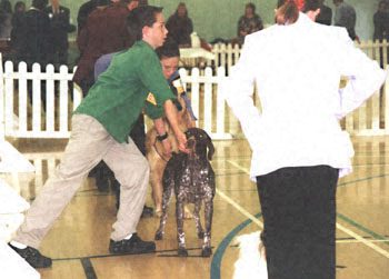 ukdha2001023gsp