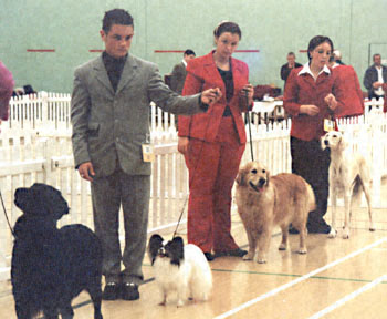 ukdha2001027line