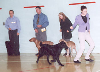 ukdha2001029fc