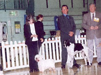 ukdha2001032whw