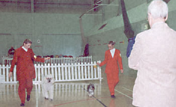 ukdha2001036two