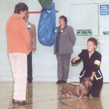 ukdha2001039dachs