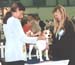 ukdha2001013beagle