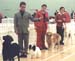 ukdha2001027line