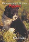 Border Collie Books