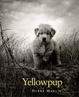 Golden Retriever Books