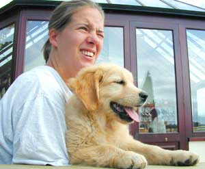 Puppy - golden retriever Dusty with au pair Anna