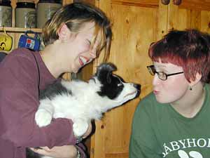 Border Collies: Esther pulling faces with Pernilla