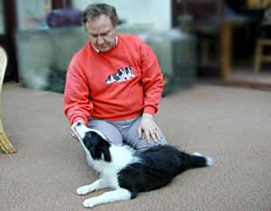 Border Collie Puppy Esther with Graham