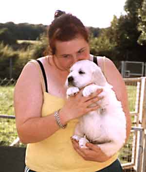 Dog Carer Au Pairs Golden Retriever Puppy Lucy with Heidi