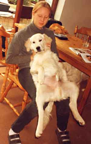 Golden retreiver with Jenny