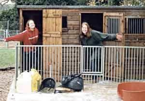 Au Pair Dog Carers working Cleaning out the puppies play house