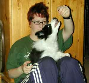 Dog Carer Au Pairs Border Collie Puppy with Pernilla