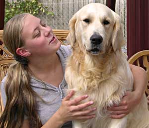 Golden Retriever Image