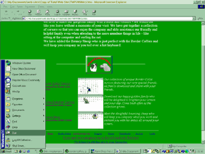Bouncy Sheep Download instructions 6