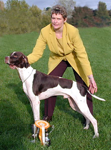pointer