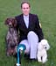 pointer-and-poodle